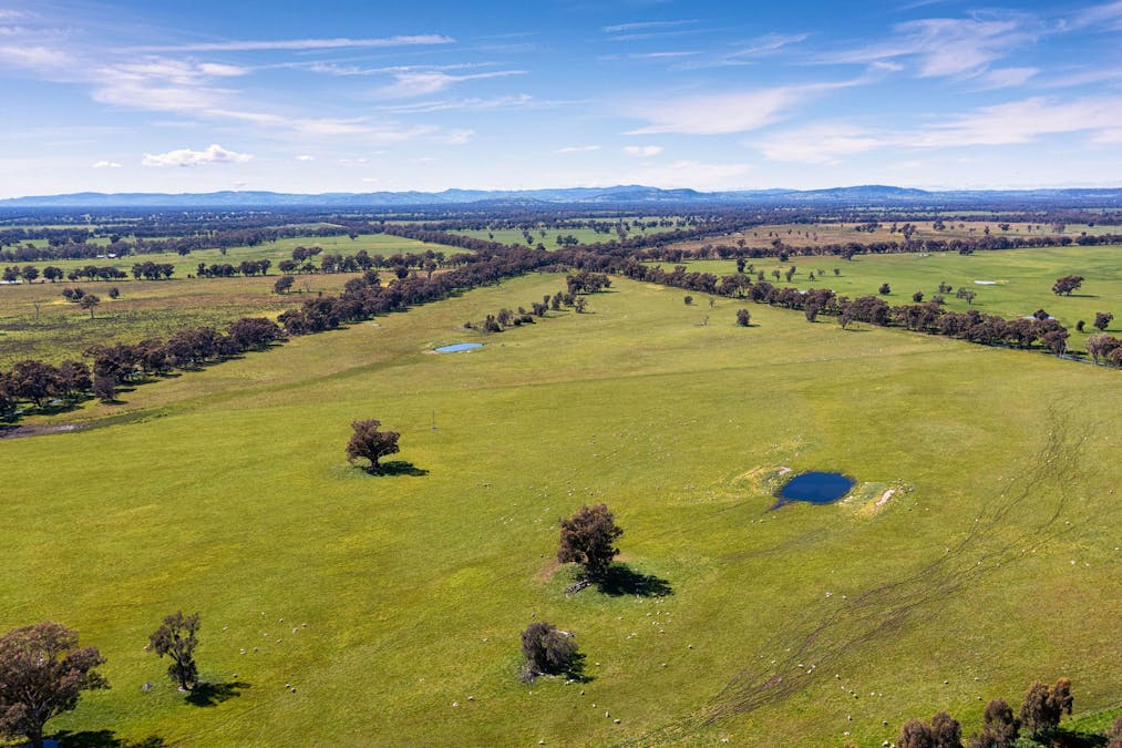356 Longwood-Shepparton Road, Pranjip , Euroa, VIC, 3666 - Image 10