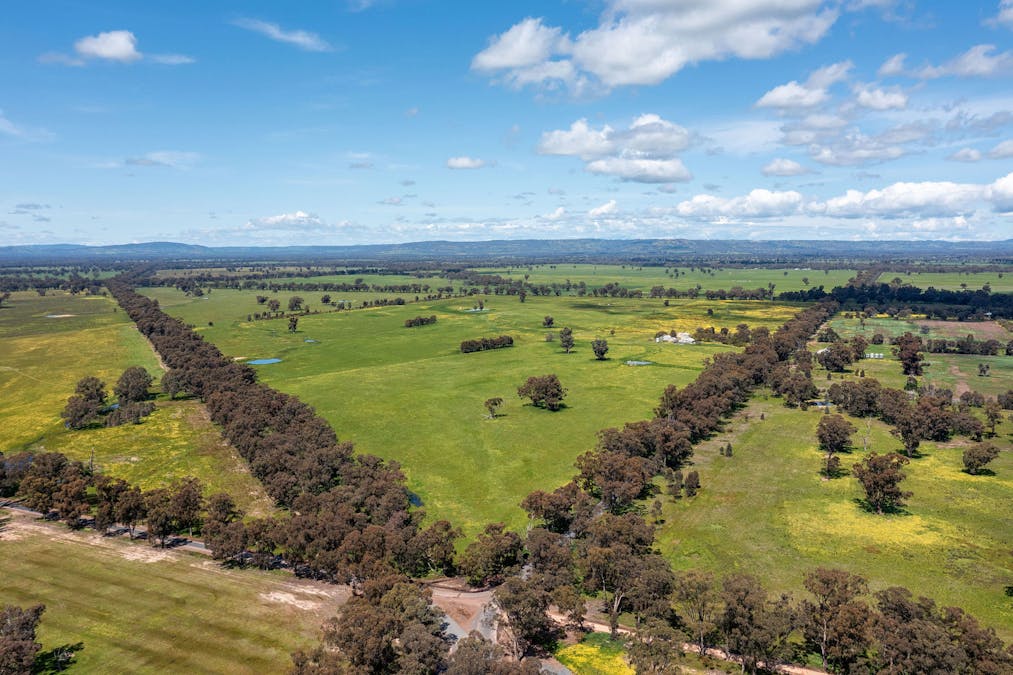 356 Longwood-Shepparton Road, Pranjip , Euroa, VIC, 3666 - Image 15