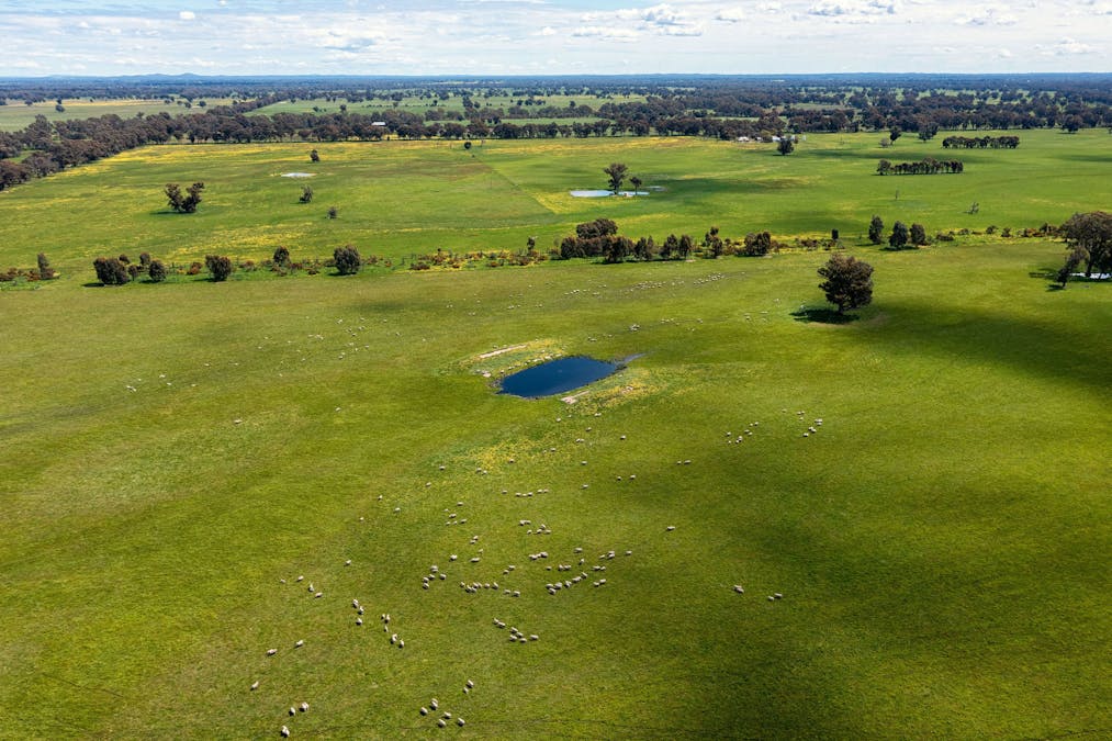 356 Longwood-Shepparton Road, Pranjip , Euroa, VIC, 3666 - Image 4