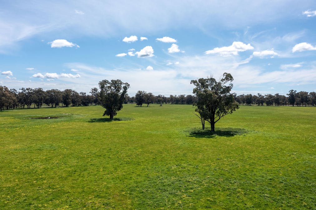 356 Longwood-Shepparton Road, Pranjip , Euroa, VIC, 3666 - Image 5
