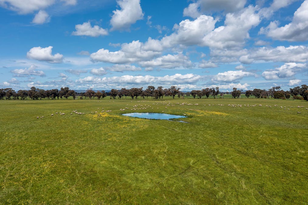 356 Longwood-Shepparton Road, Pranjip , Euroa, VIC, 3666 - Image 16
