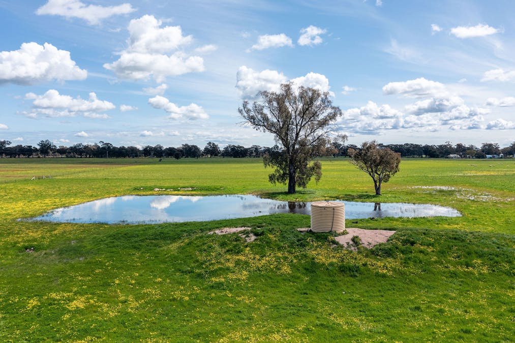 356 Longwood-Shepparton Road, Pranjip , Euroa, VIC, 3666 - Image 18