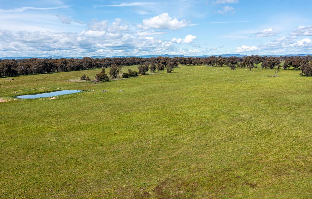 356 Longwood-Shepparton Road, Pranjip , Euroa, VIC, 3666 - Image 19