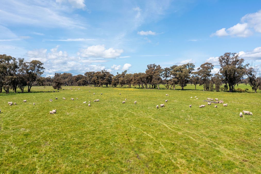 356 Longwood-Shepparton Road, Pranjip , Euroa, VIC, 3666 - Image 20