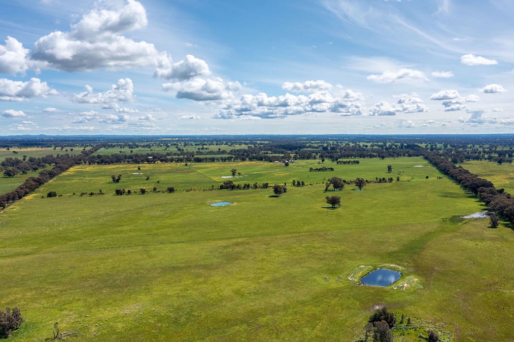 356 Longwood-Shepparton Road, Pranjip , Euroa, VIC, 3666 - Image 21
