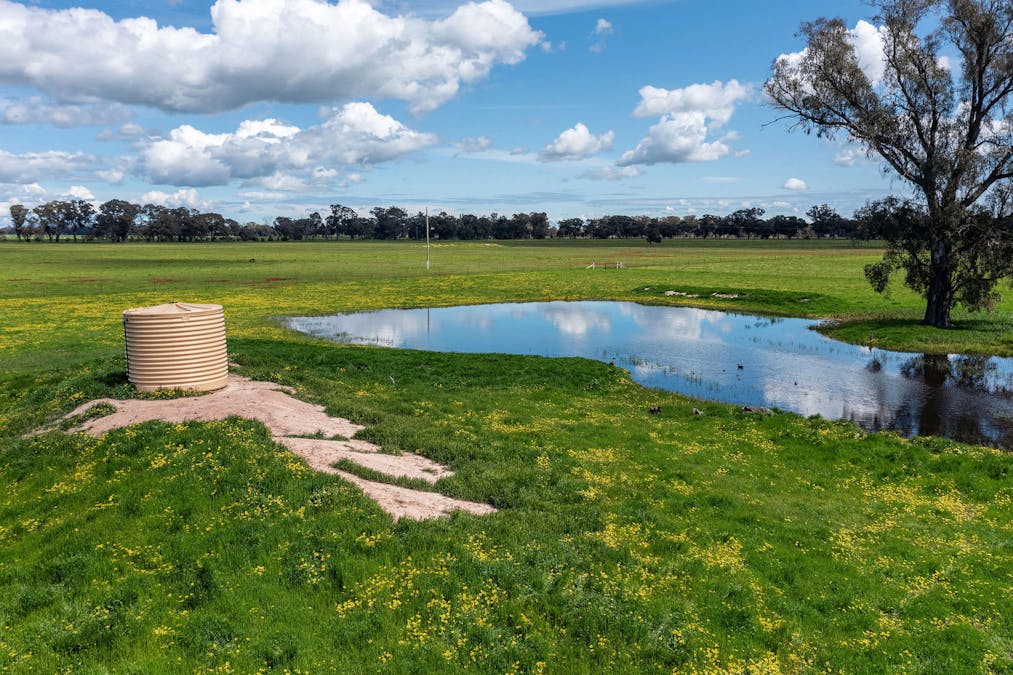 356 Longwood-Shepparton Road, Pranjip , Euroa, VIC, 3666 - Image 6