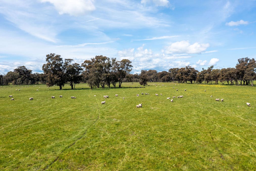 356 Longwood-Shepparton Road, Pranjip , Euroa, VIC, 3666 - Image 22