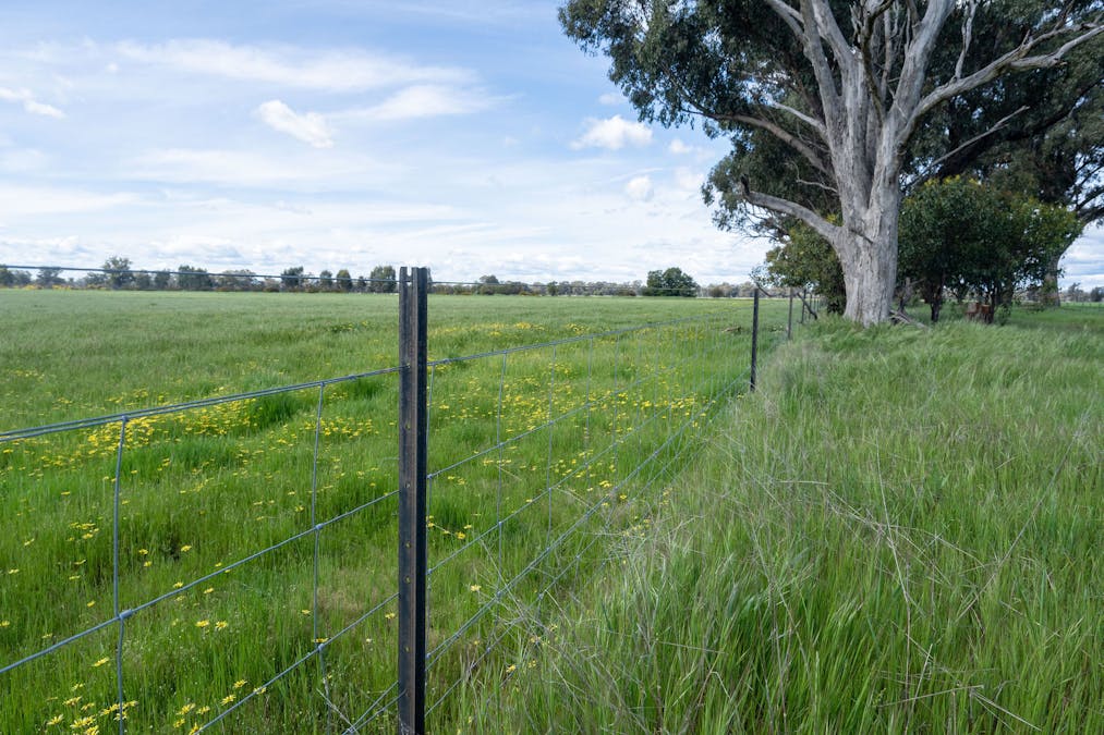 356 Longwood-Shepparton Road, Pranjip , Euroa, VIC, 3666 - Image 24