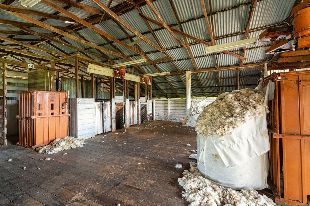356 Longwood-Shepparton Road, Pranjip , Euroa, VIC, 3666 - Image 12