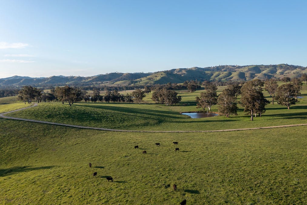 2222 Goulburn Valley Highway, Alexandra, VIC, 3714 - Image 1