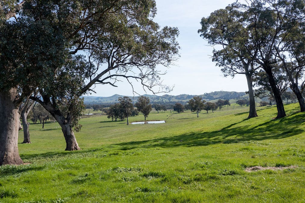 2222 Goulburn Valley Highway, Alexandra, VIC, 3714 - Image 3