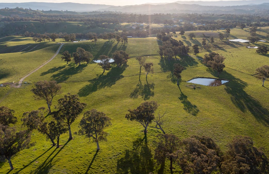2222 Goulburn Valley Highway, Alexandra, VIC, 3714 - Image 13