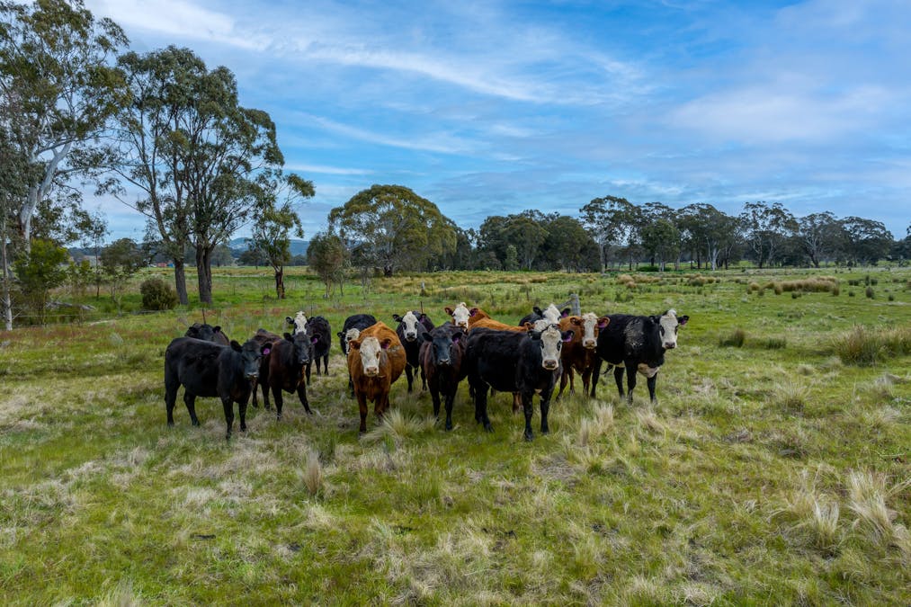 720 Taralga Road , Goulburn, NSW, 2580 - Image 5