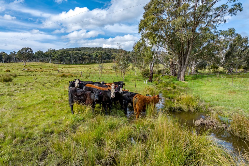 720 Taralga Road , Goulburn, NSW, 2580 - Image 10
