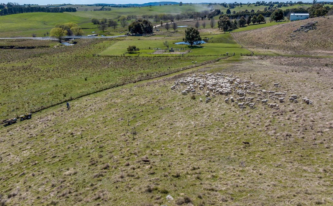 575 Woodville Road, Crookwell, NSW, 2583 - Image 10
