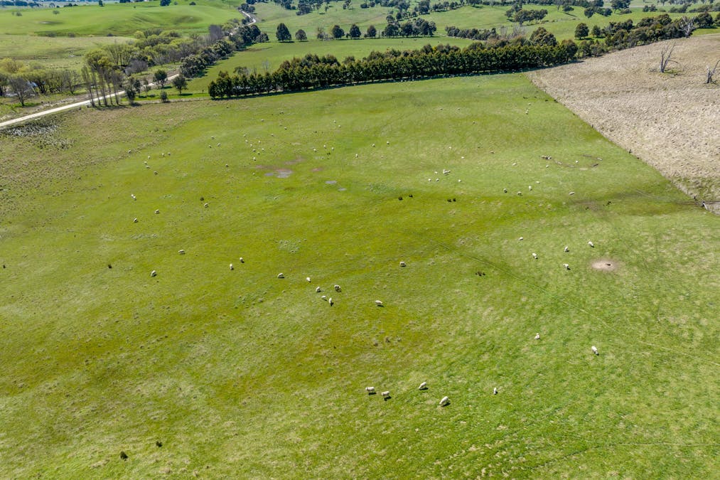 575 Woodville Road, Crookwell, NSW, 2583 - Image 14