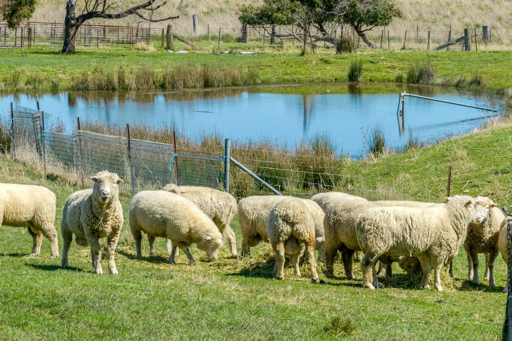 575 Woodville Road, Crookwell, NSW, 2583 - Image 15
