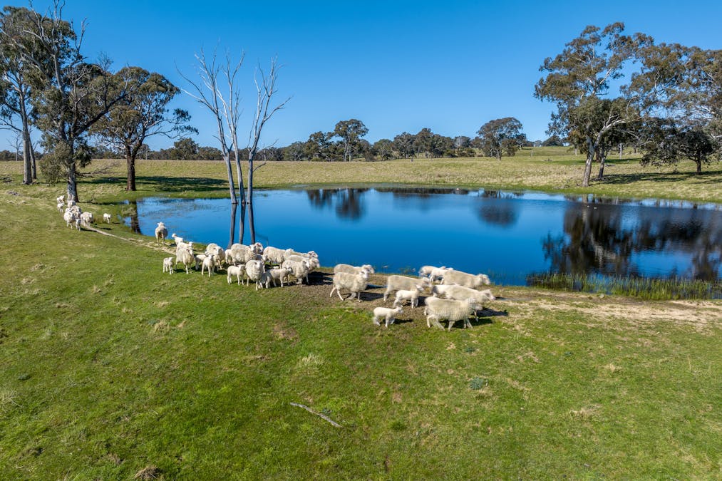 575 Woodville Road, Crookwell, NSW, 2583 - Image 18
