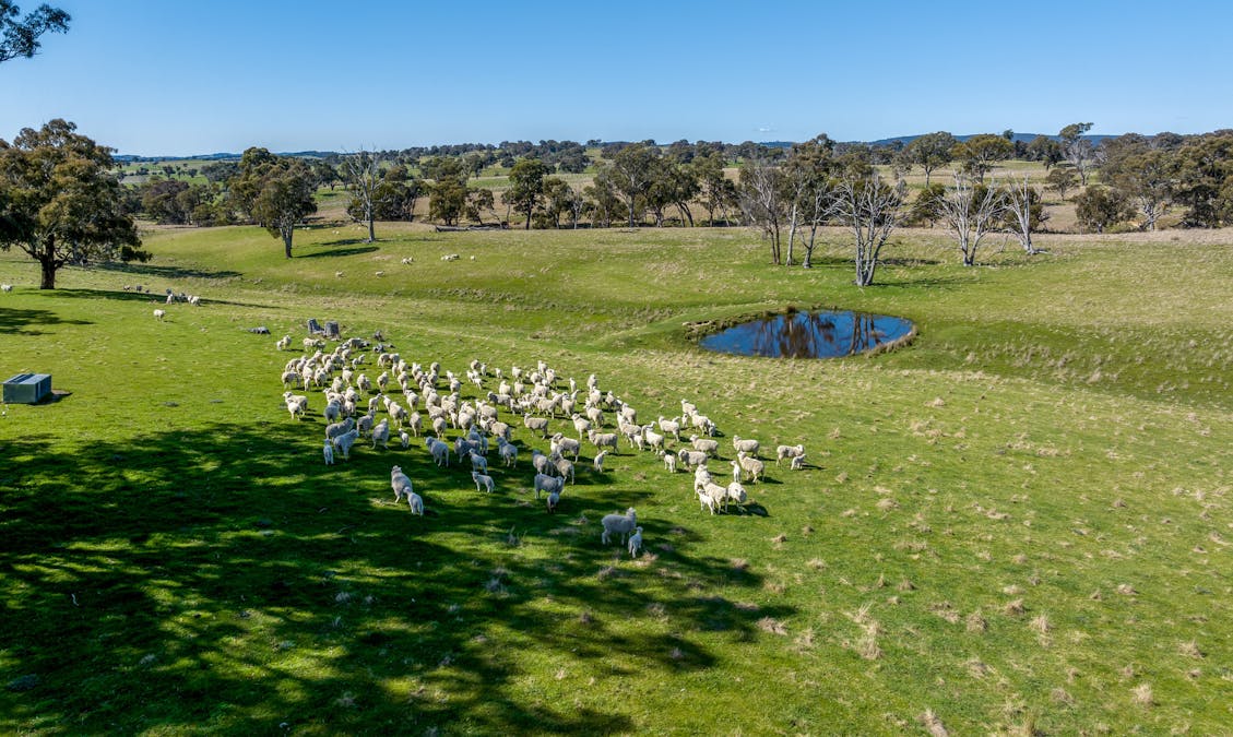 575 Woodville Road, Crookwell, NSW, 2583 - Image 19