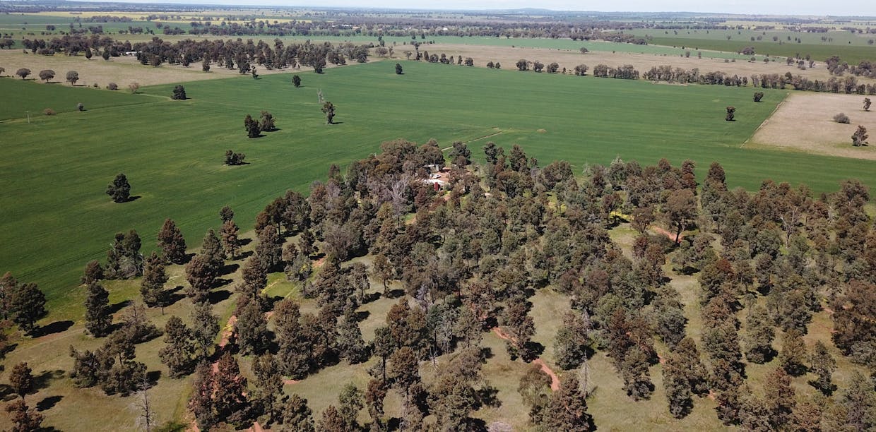 82 Ratcliffs Road, Berrigan, NSW, 2712 - Image 5