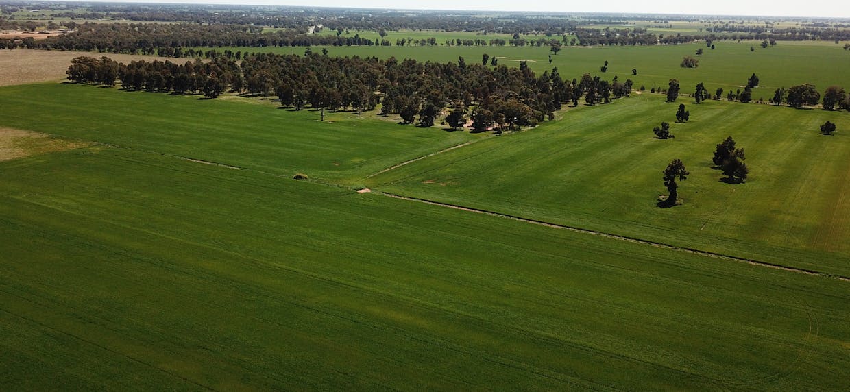 82 Ratcliffs Road, Berrigan, NSW, 2712 - Image 4