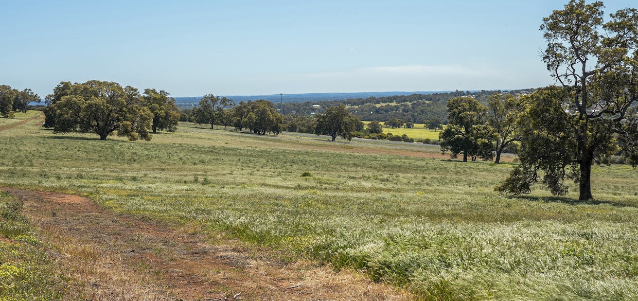 1527 Mooliabeenee Road, Lennard Brook, WA, 6503 - Image 24