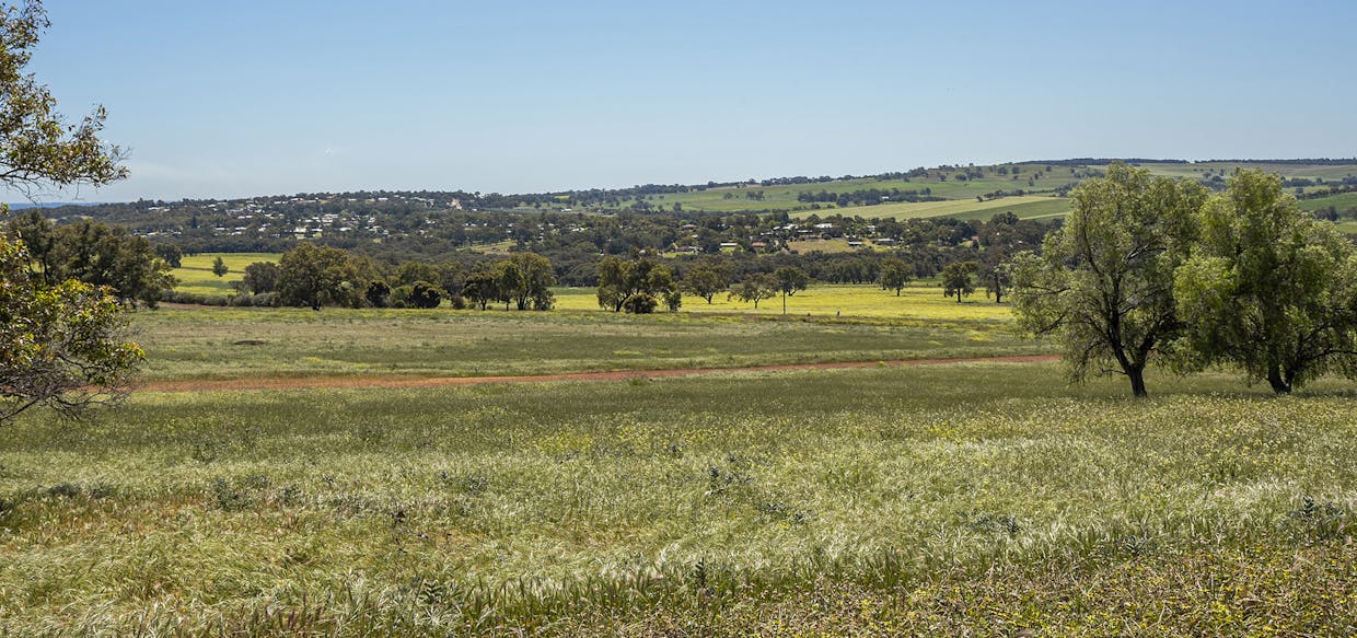 1527 Mooliabeenee Road, Lennard Brook, WA, 6503 - Image 25
