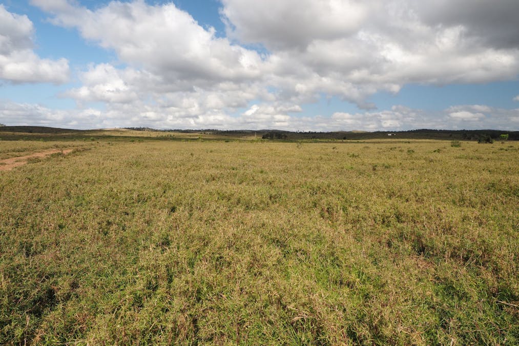 417 Jackson Road, Gogango, QLD, 4702 - Image 3