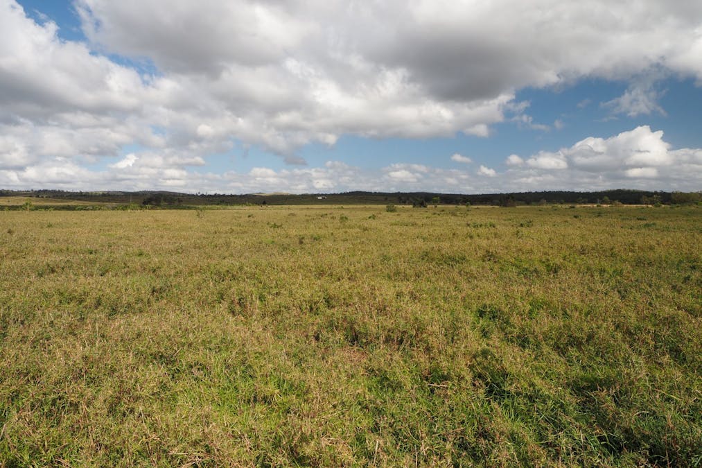 417 Jackson Road, Gogango, QLD, 4702 - Image 10