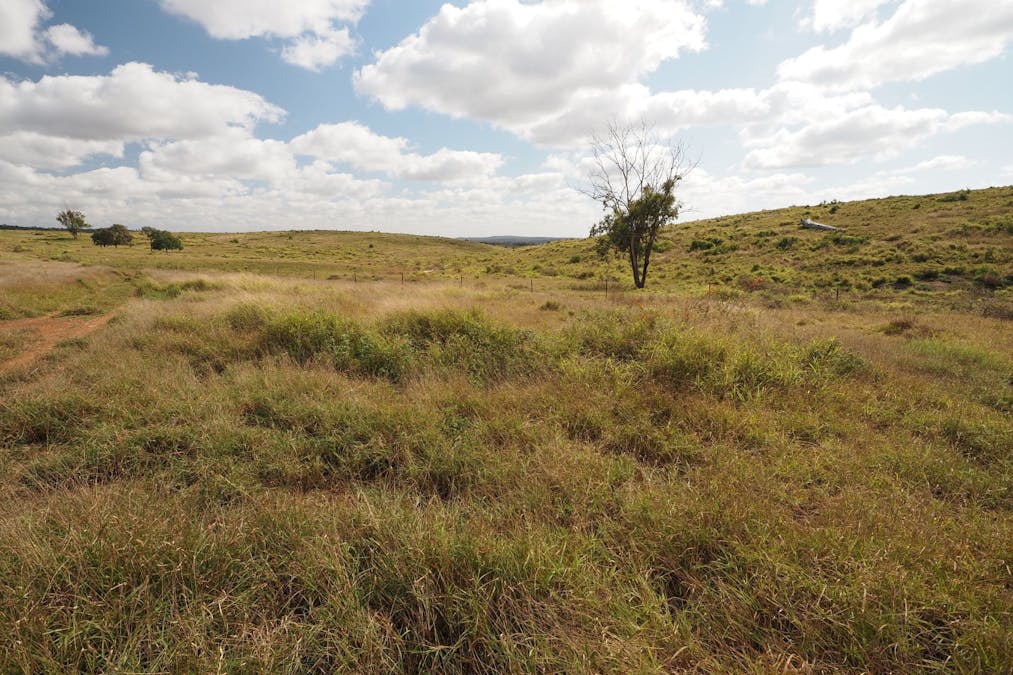 417 Jackson Road, Gogango, QLD, 4702 - Image 14