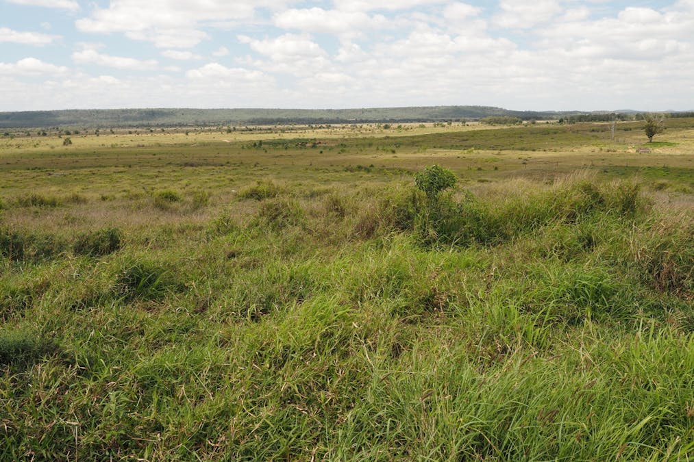 417 Jackson Road, Gogango, QLD, 4702 - Image 16