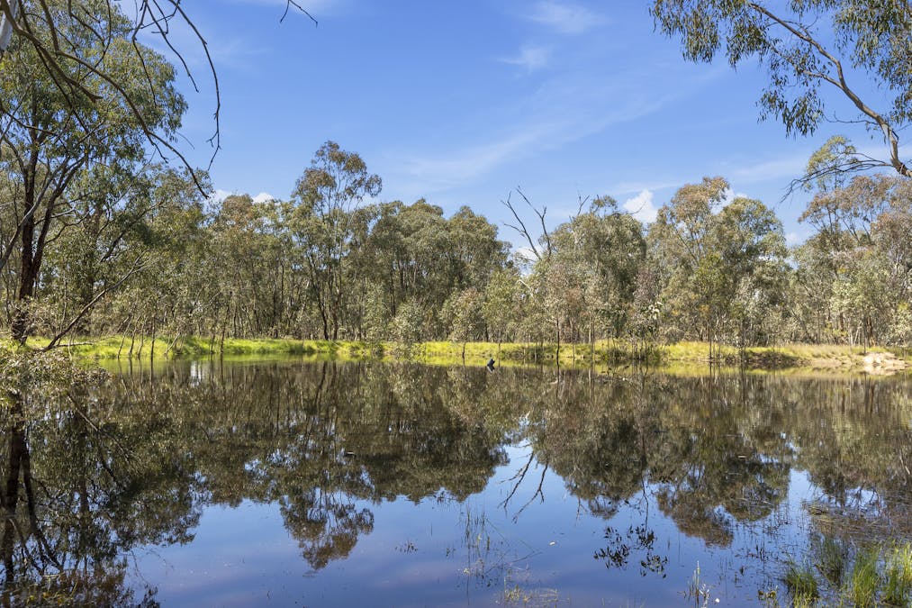 300 Warby Range Road, Glenrowan, VIC, 3675 - Image 31