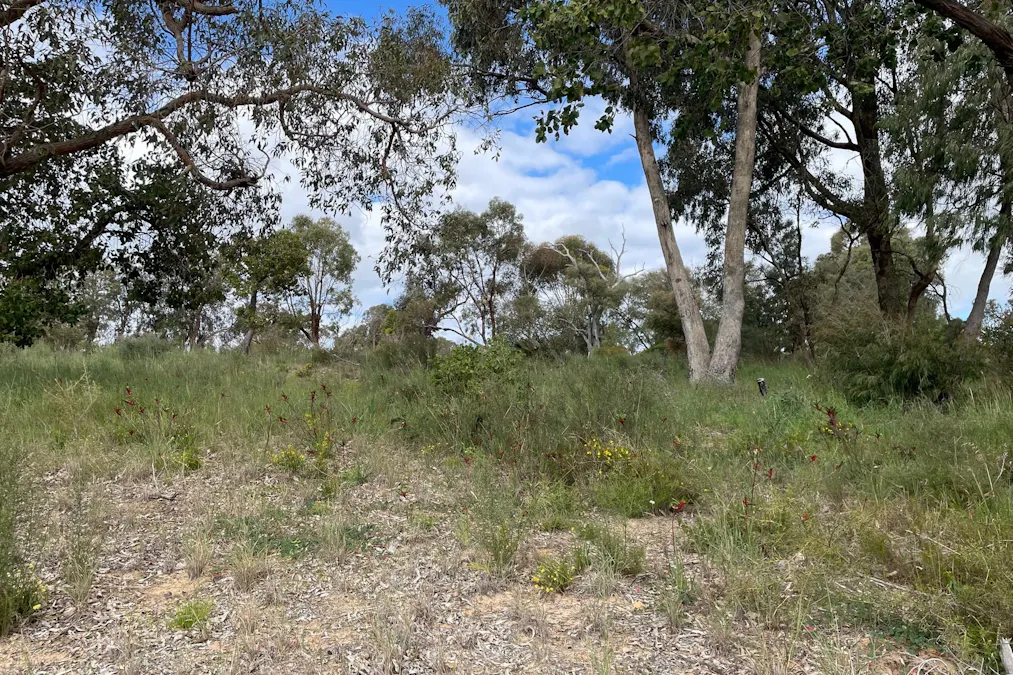 10 English View, Gelorup, WA, 6230 Sold Elders Real Estate