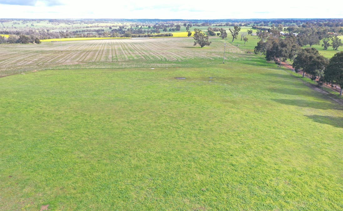 173 Westcourt Road, Kojonup, WA, 6395 - Image 9