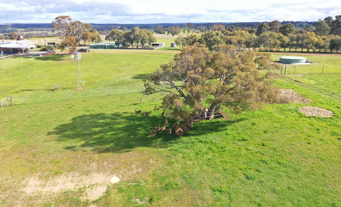 173 Westcourt Road, Kojonup, WA, 6395 - Image 10