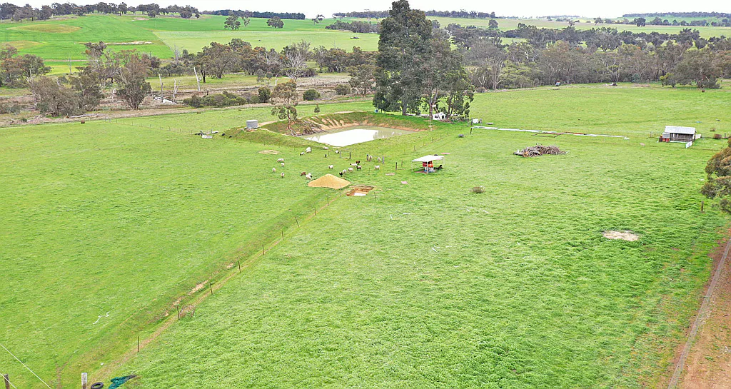 Lot 84, 85 Blackwood Road, Muradup, WA, 6394 - Image 2