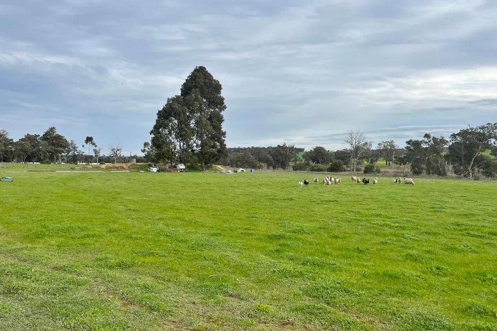 Lot 84, 85 Blackwood Road, Muradup, WA, 6394 - Image 5