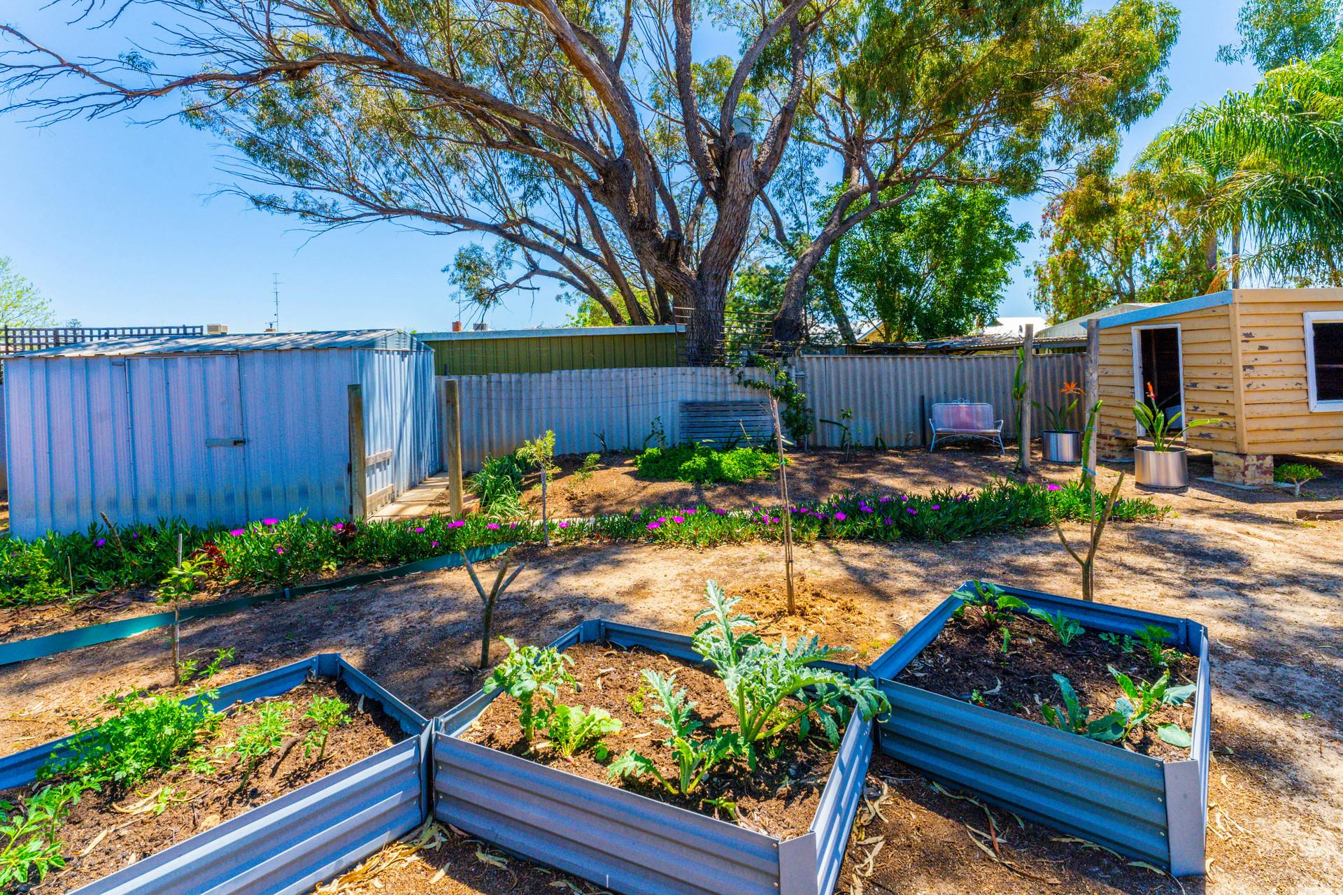 11 Uralia Terrace, Northam, WA, 6401 Sold Elders Real Estate