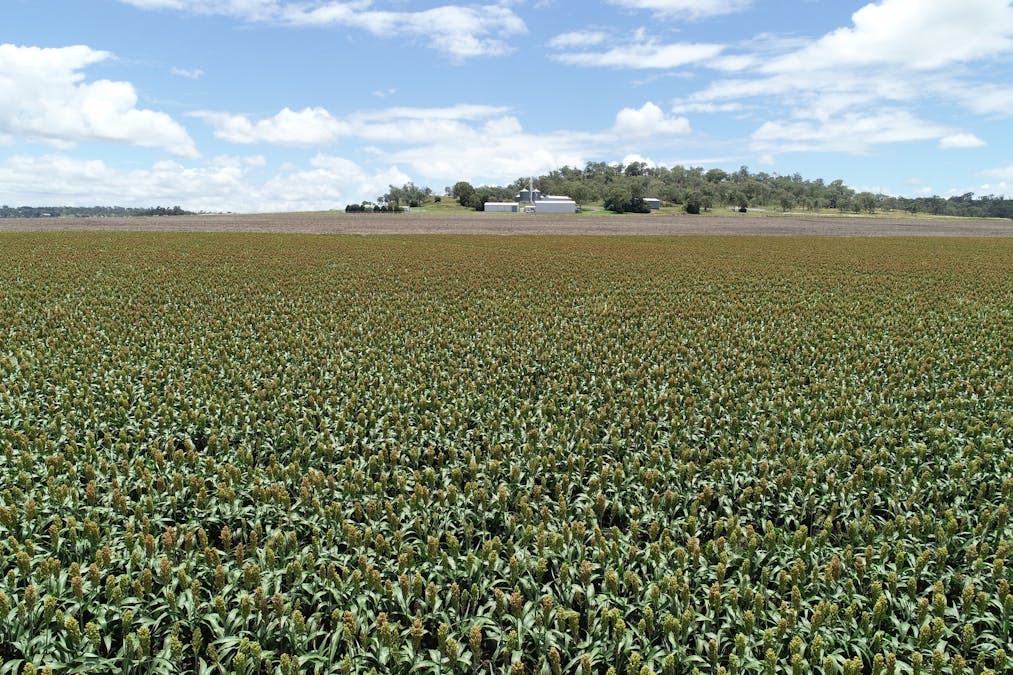 310 Cambooya-Felton Road, Cambooya, QLD, 4358 - Image 2