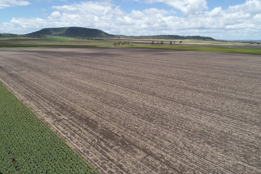 310 Cambooya-Felton Road, Cambooya, QLD, 4358 - Image 4