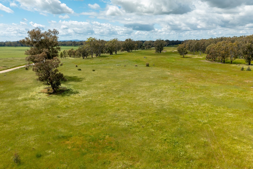 29 Berry Jerry Road, Collingullie, NSW, 2650 - Image 1