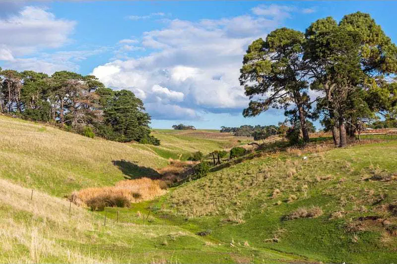 31-99 Spray Farm Lane, Bellarine, VIC, 3223 - Image 3