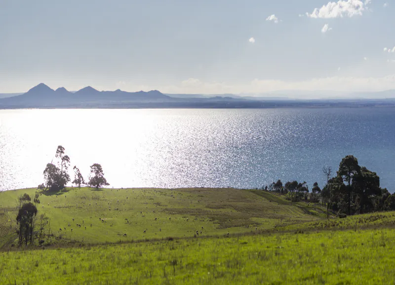 31-99 Spray Farm Lane, Bellarine, VIC, 3223 - Image 10