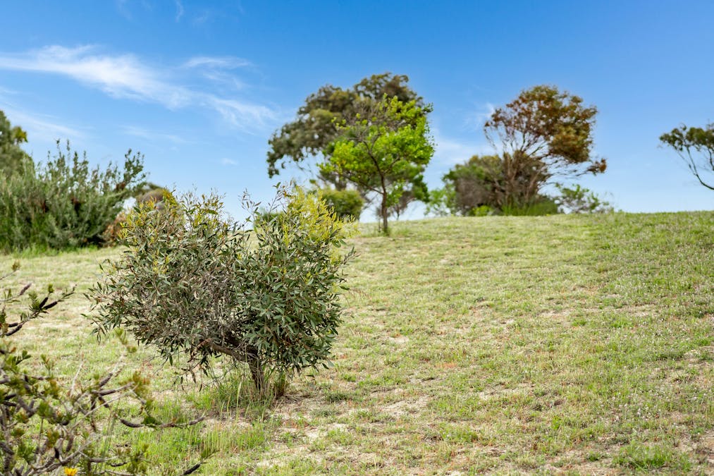 Lot 3 Clayton Street, Clayton Bay, SA, 5256 - Image 5