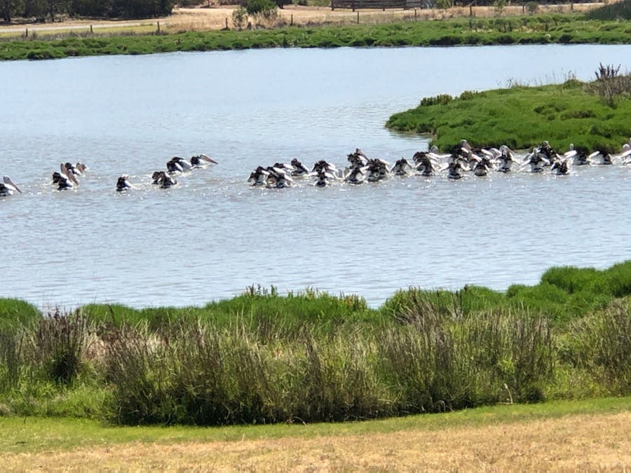 Lot 3 Clayton Street, Clayton Bay, SA, 5256 - Image 12