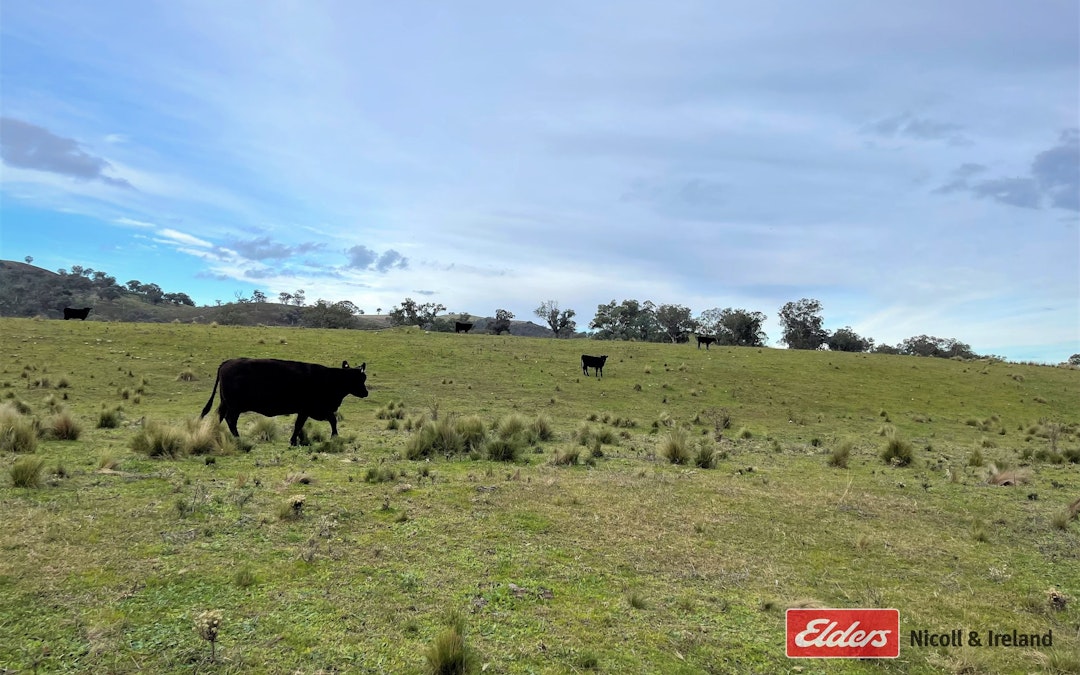 Goulburn Road, Abercrombie River, NSW, 2795 - Image 6