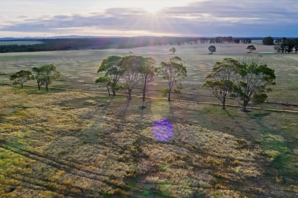 202/Albany Views Private Estate , Drome, WA, 6330 - Image 7