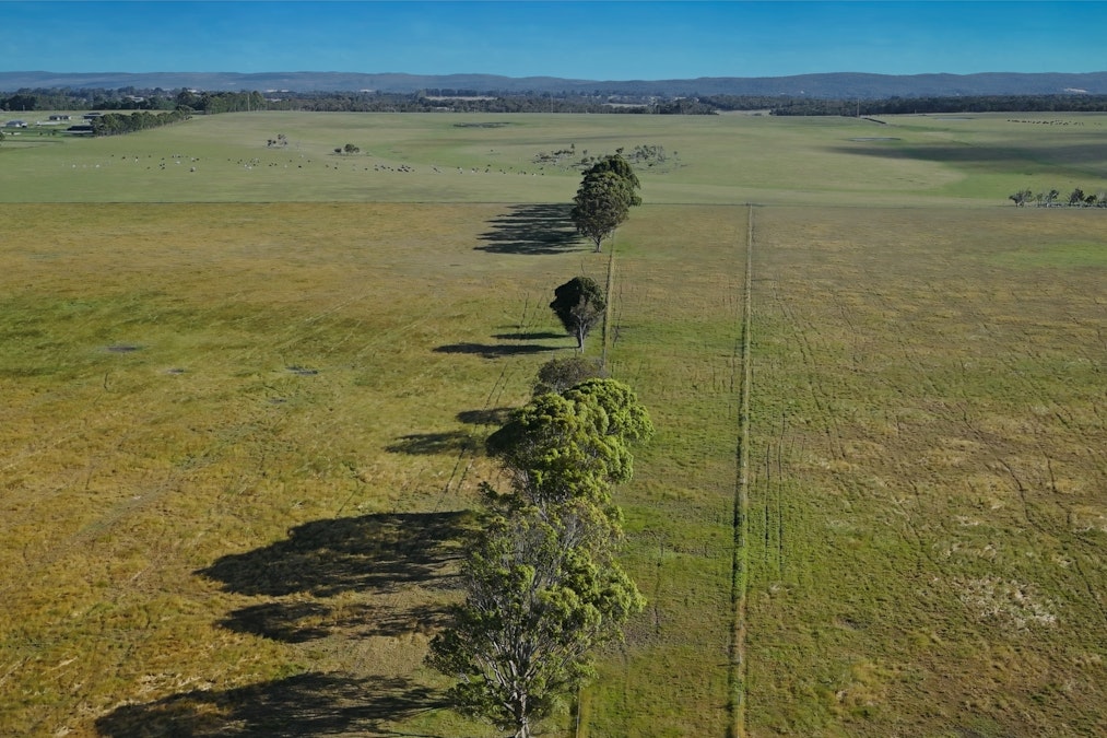 206/Albany Views Private Estate , Drome, WA, 6330 - Image 1