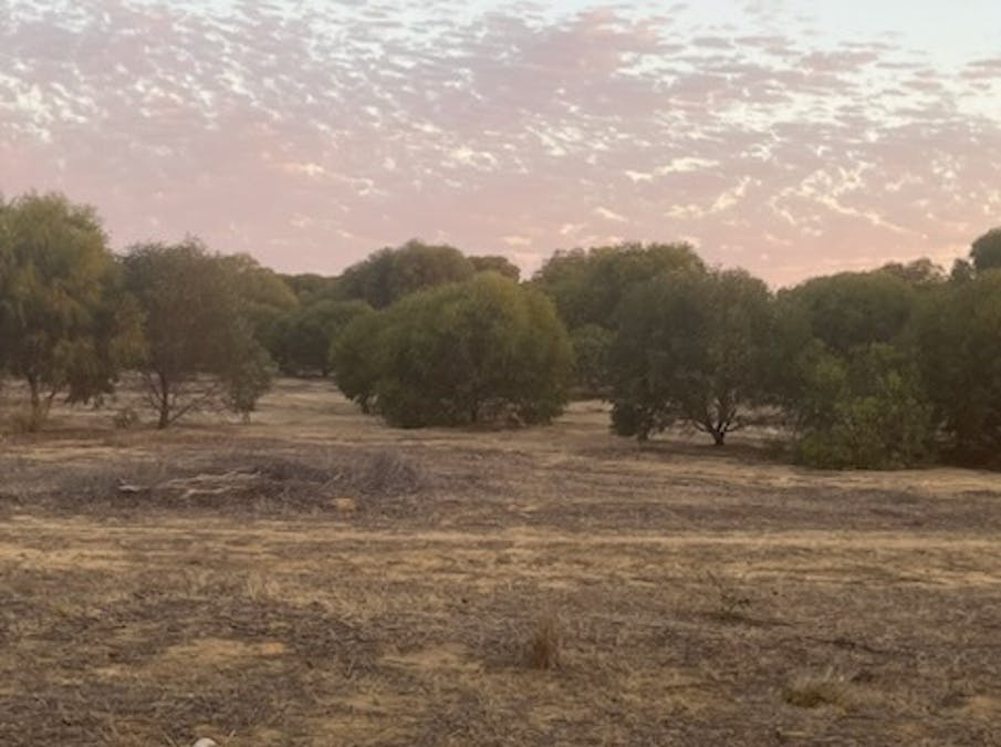 1236/Burakin - Beacon Road, Kulja, WA, 6470 - Image 2