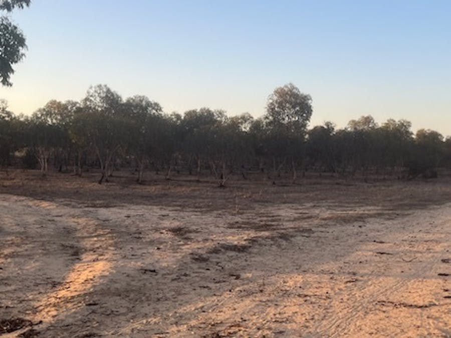 1236/Burakin - Beacon Road, Kulja, WA, 6470 - Image 3